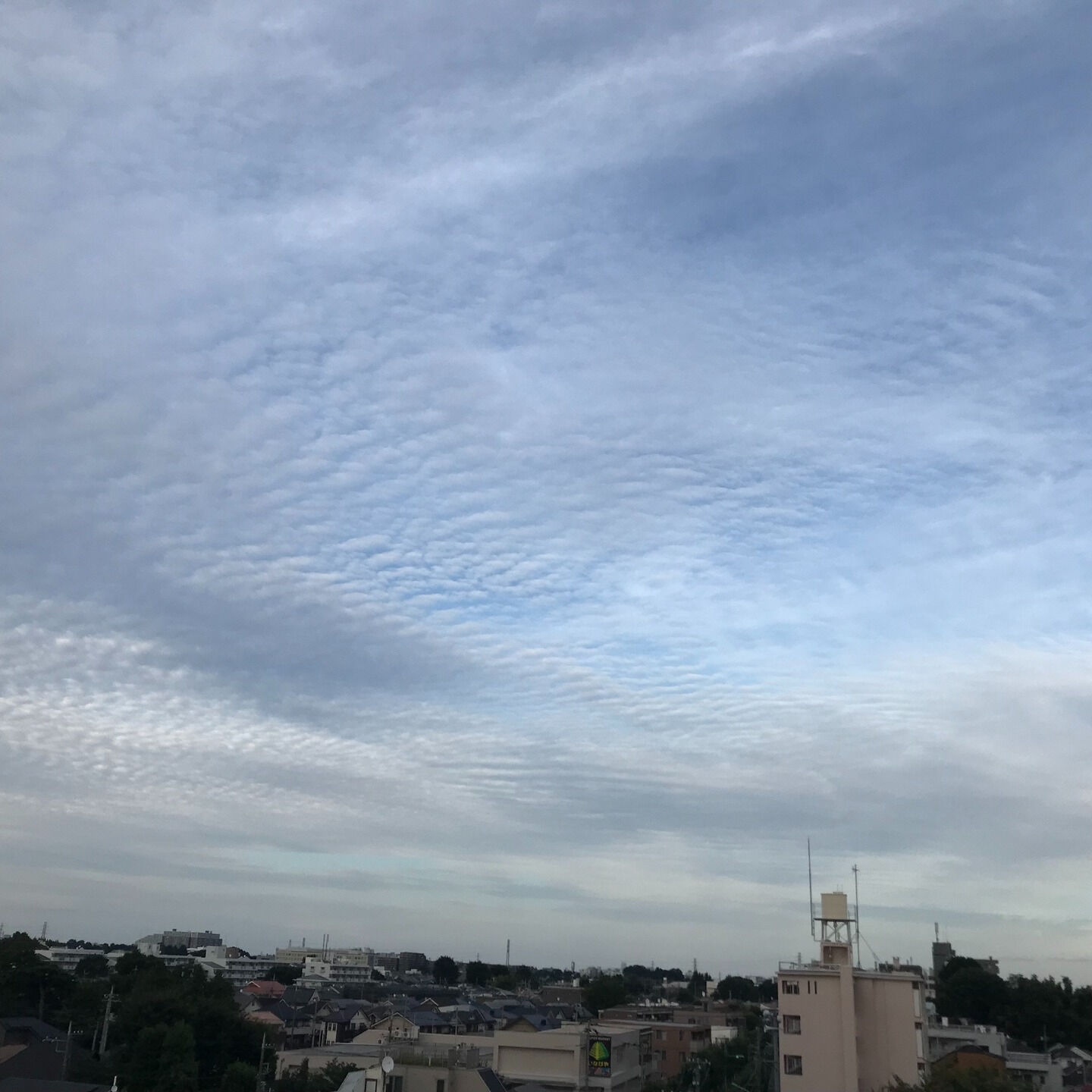 9月22日（月）