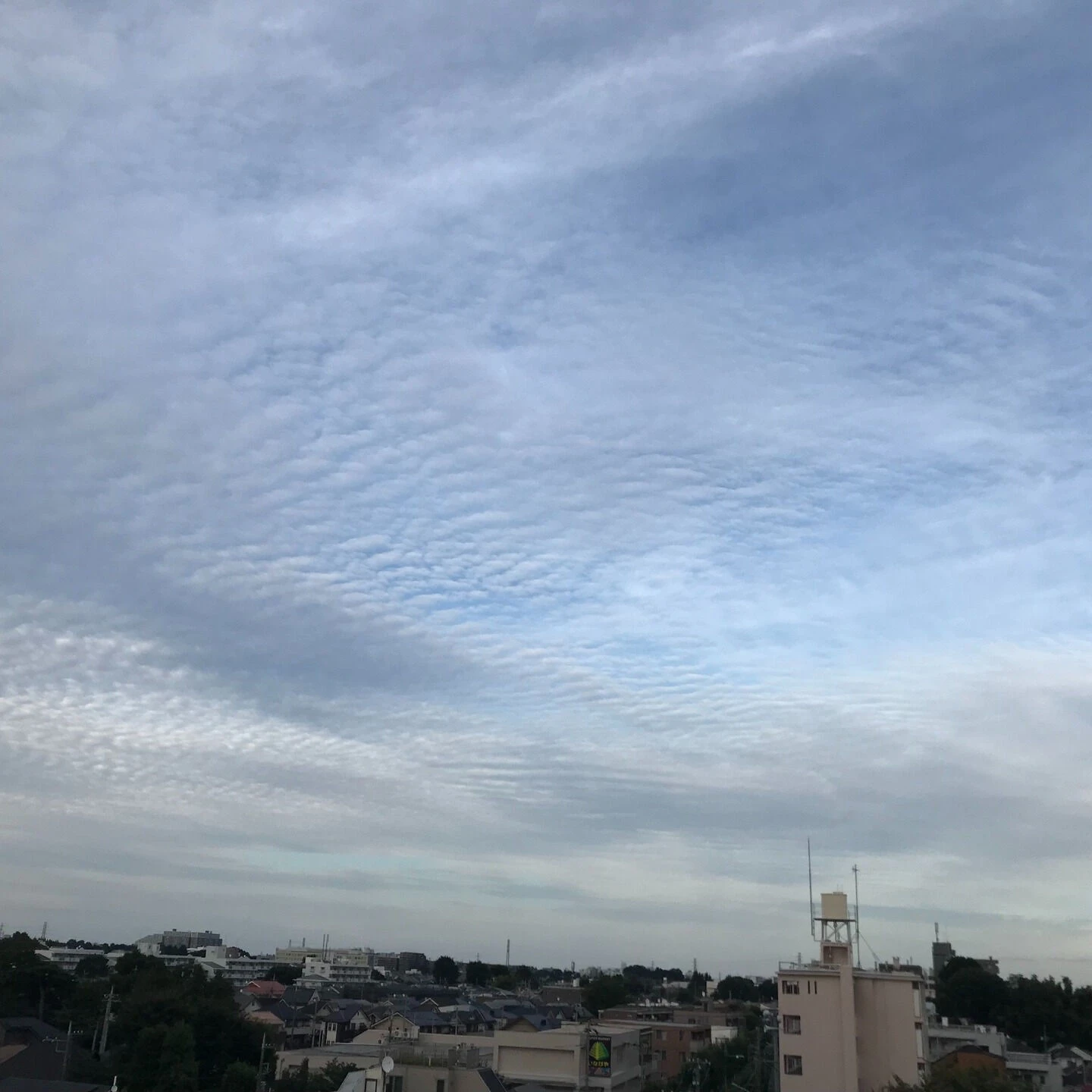 9月22日（月）