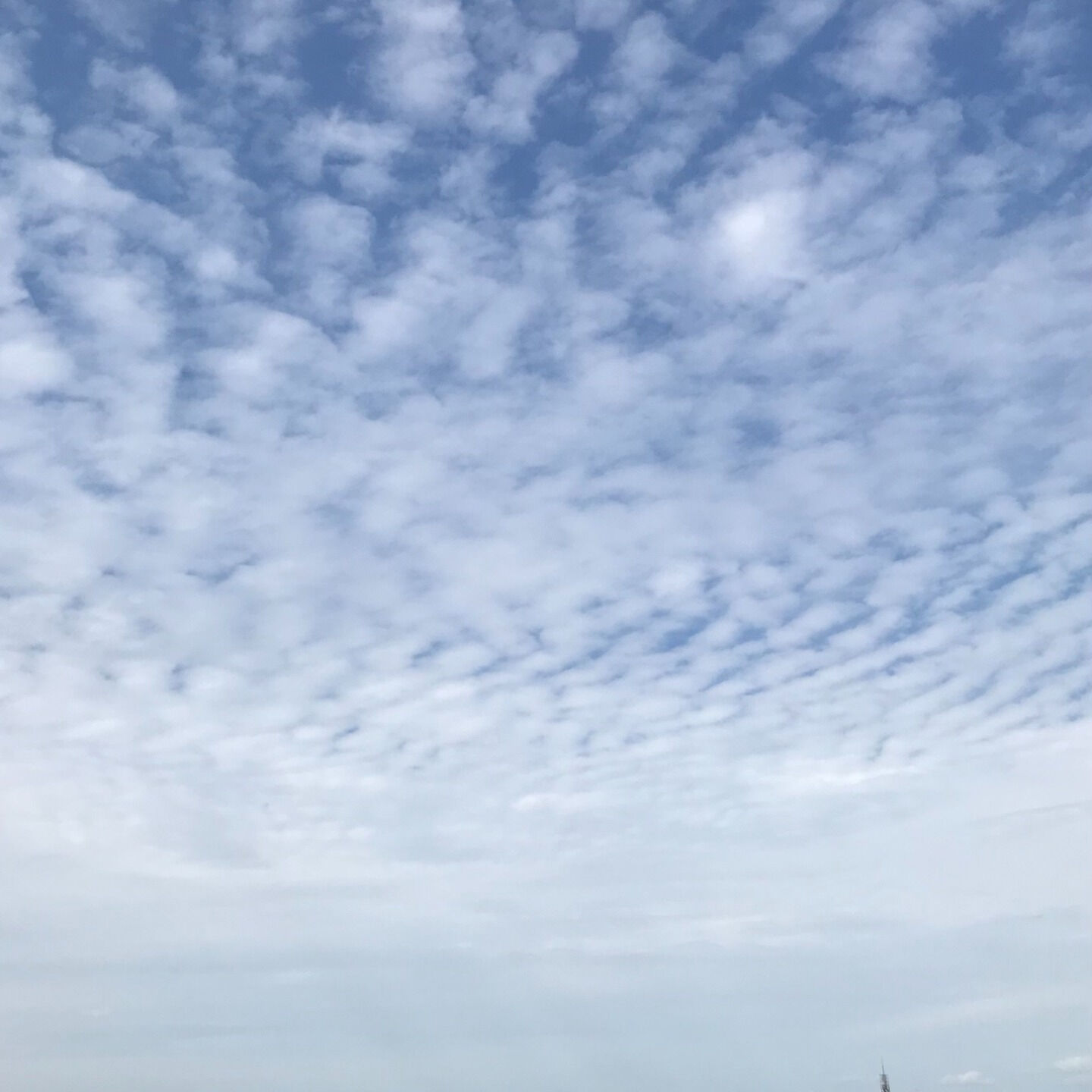 9月23日（火・秋分の日）