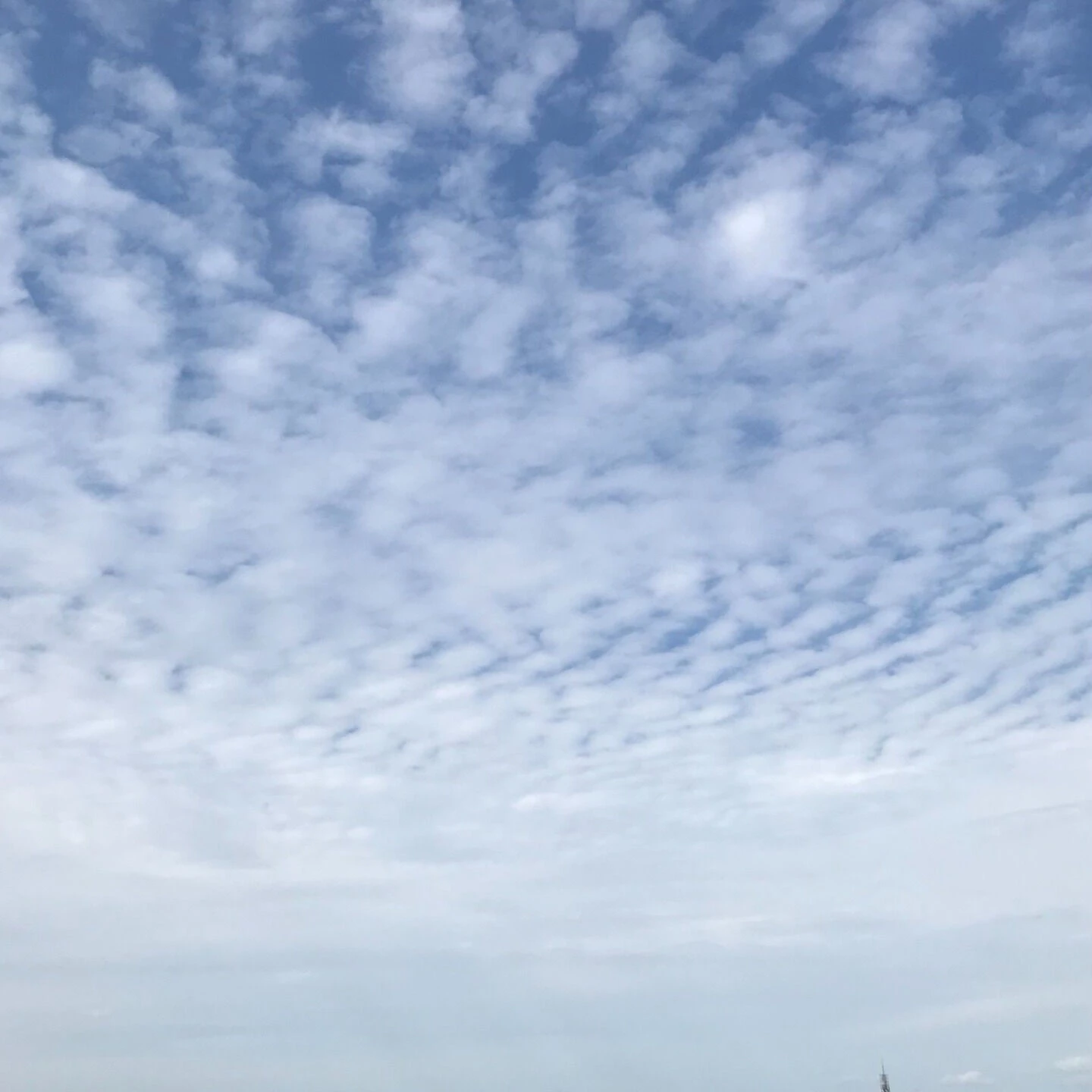 9月23日（火・秋分の日）
