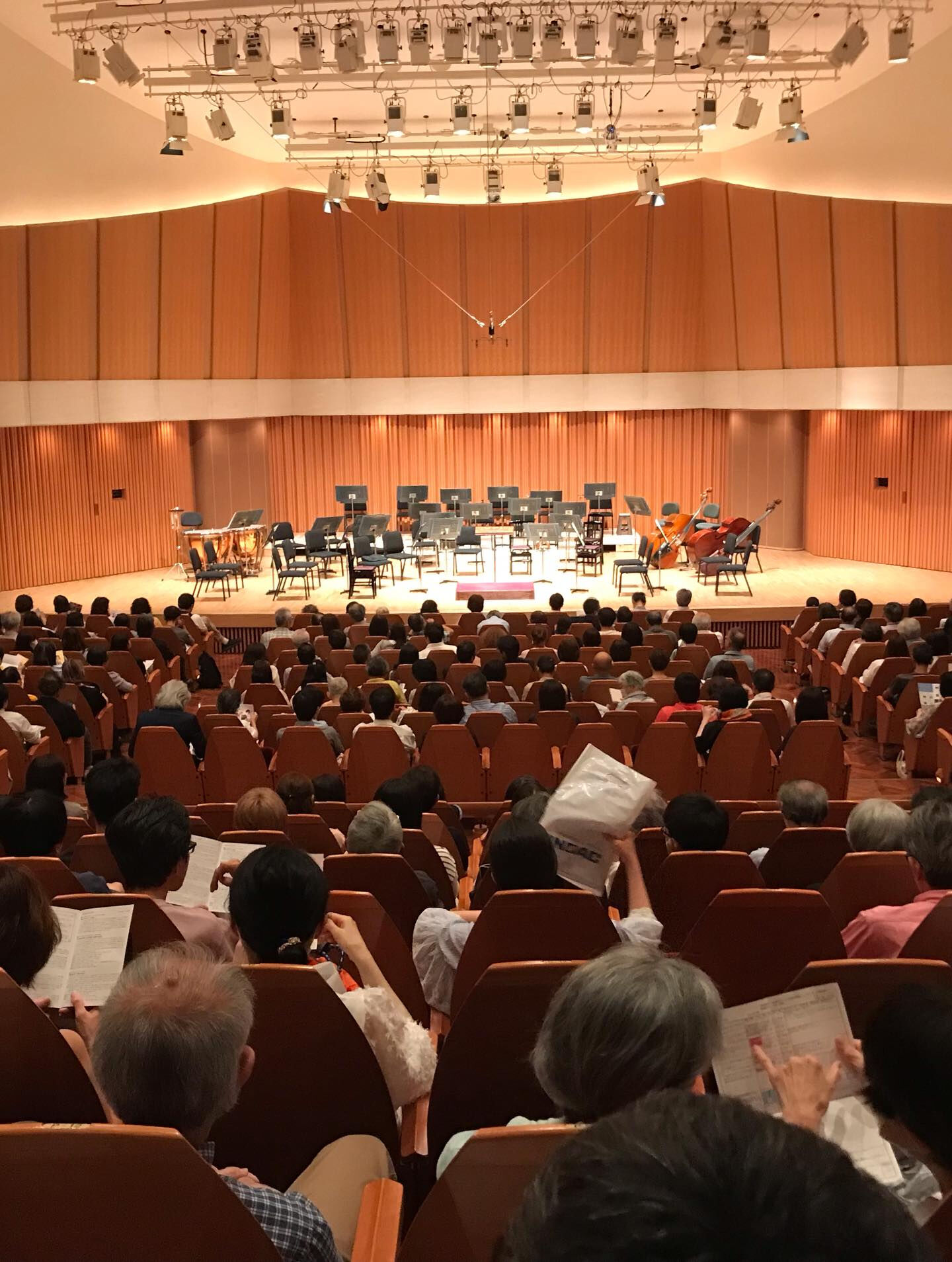 今日の午後、クラシック音楽の世界に浸っていました